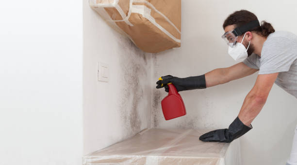Professional Crawl Space Mold Removal technician working in Montclair, NJ