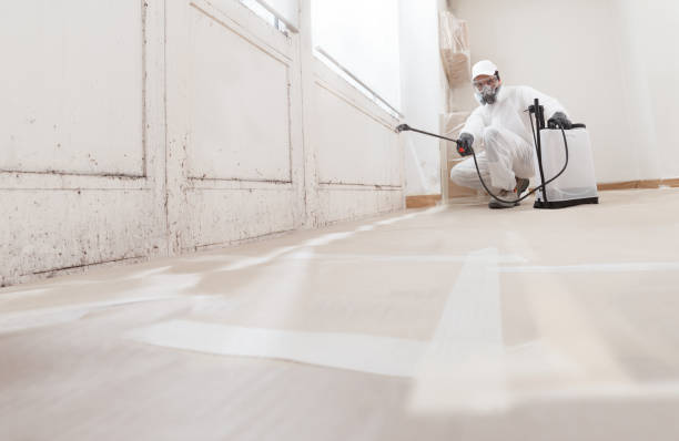 24/7 Emergency Crawl Space Mold Removal experts in Montclair, NJ